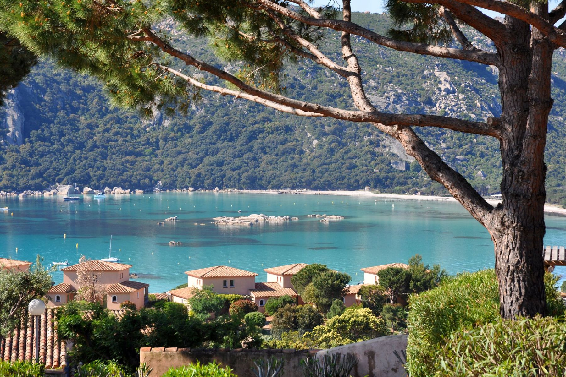 Activités en Corse-du-Sud | Résidence U Cantu di i Cardellini